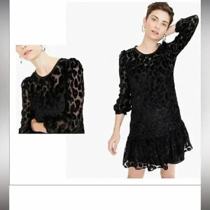 J. Crew sheer velvet mini dress